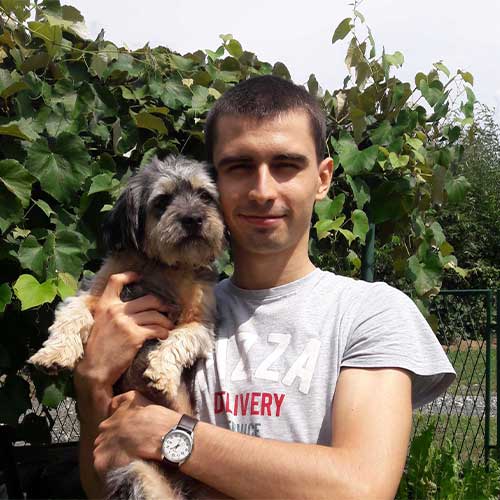 Software Developers and Dogs